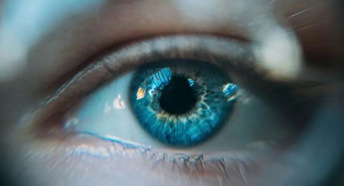 4 Foods Killing Your Vision