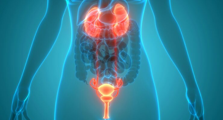 7 Signs Your Kidneys May Be Struggling