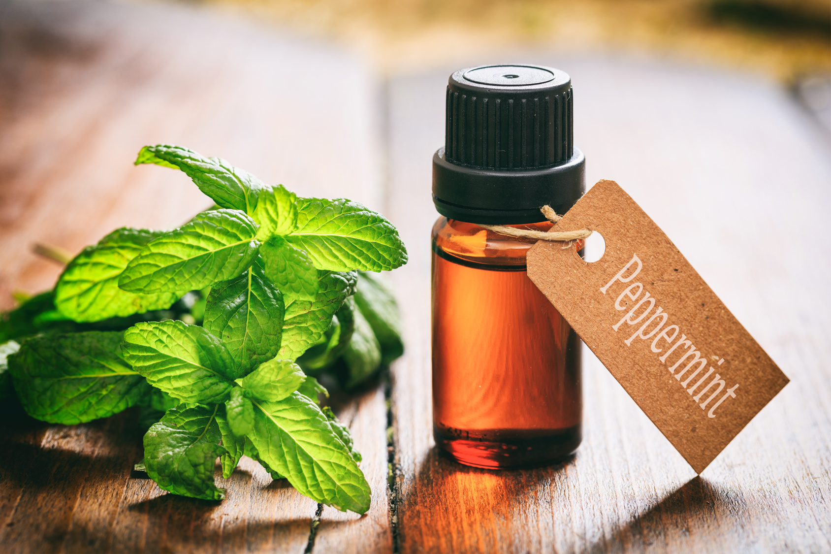 Strange Uses For Peppermint Oil That Really Work