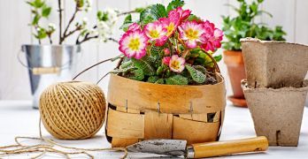 5 Containers You Can Recycle And Turn Into Gardening Pots