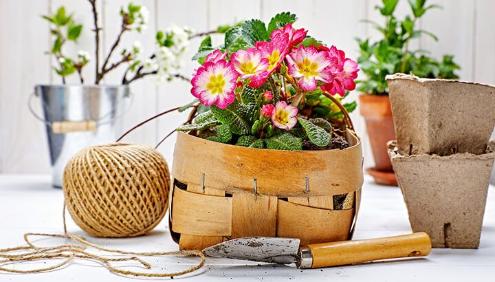 5 Containers You Can Recycle And Turn Into Gardening Pots