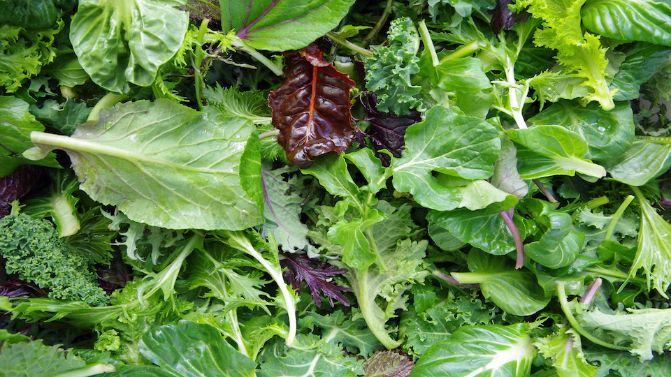 Top Greens You Should be Eating and Why